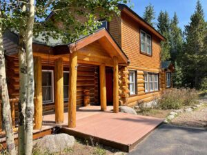 Log Doctor Project | Sashco Log Doctor Project