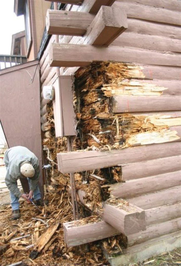 Log Rot on Log Homes Can Lead to Costly Repairs