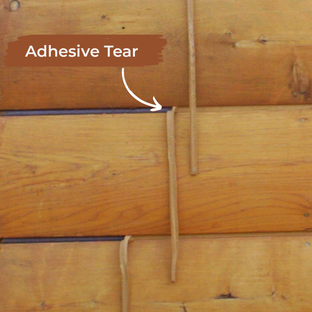 Adhesive Tear Sealant Example