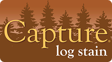 Capture log stain
